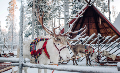 Finnland Winterzauber