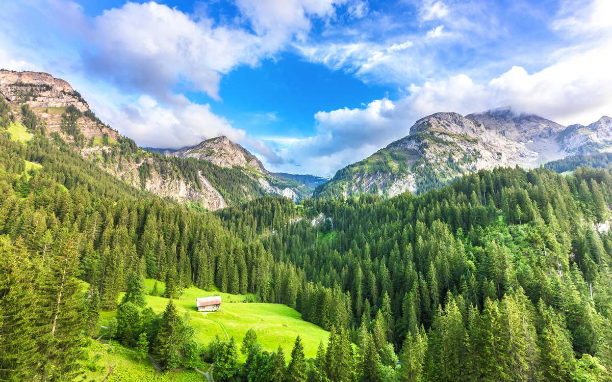 Berglandschaft bei Gstaad - © marabelo - stock.adobe.com