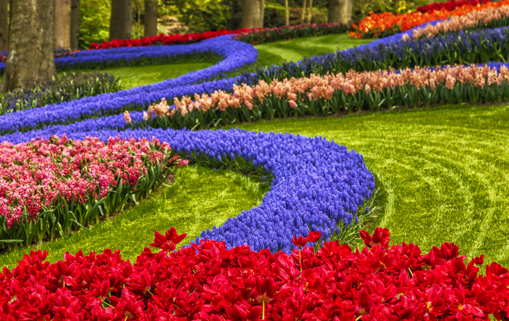 Keukenhof in den Niederlanden - ©tbralnina - stock.adobe.com