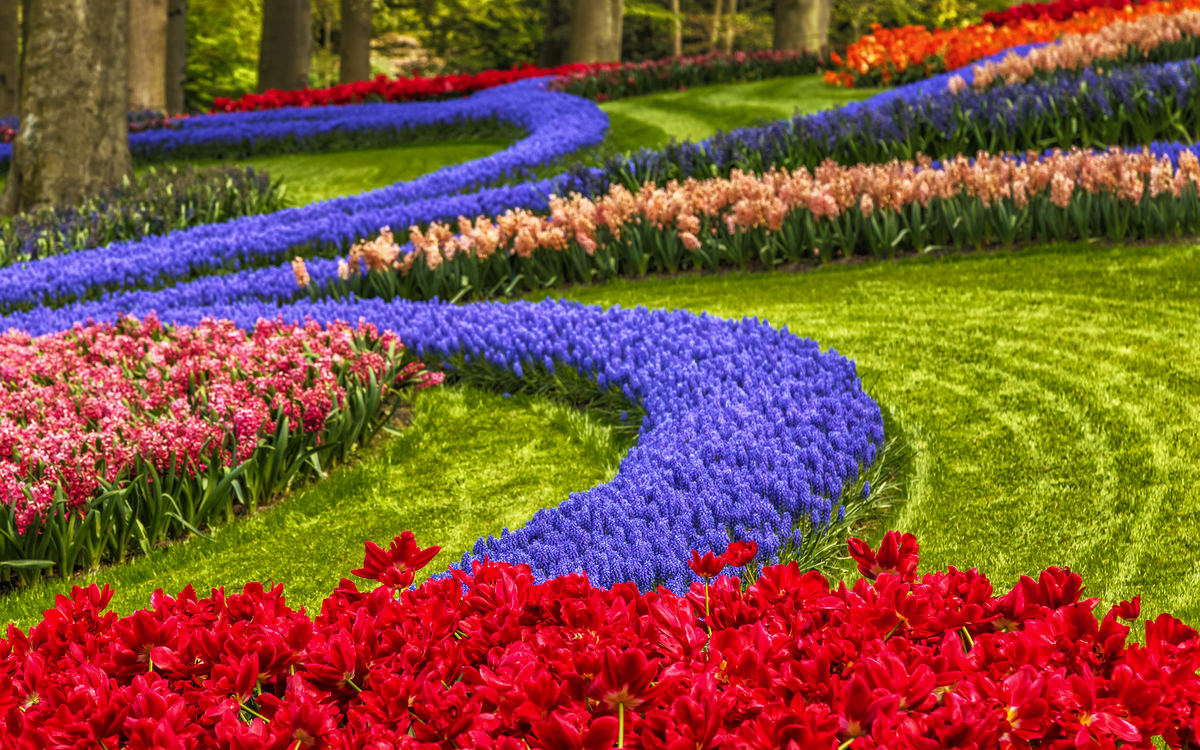 Keukenhof in den Niederlanden - ©tbralnina - stock.adobe.com