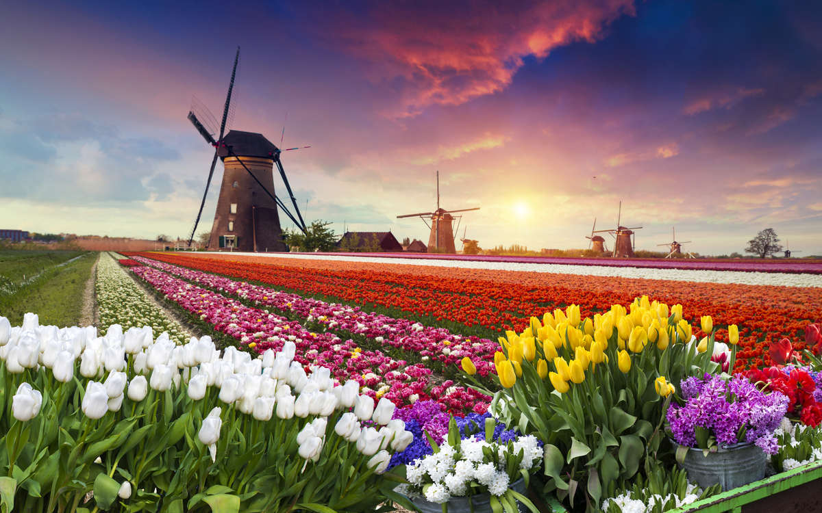 Zaanse Schans in den Niederlanden - © kishivan - stock.adobe.com