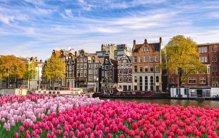 Amsterdam im Frühling - © Noppasinw - stock.adobe.com