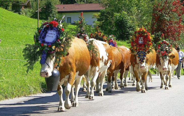 almabtrieb - © Alban Egger - Fotolia