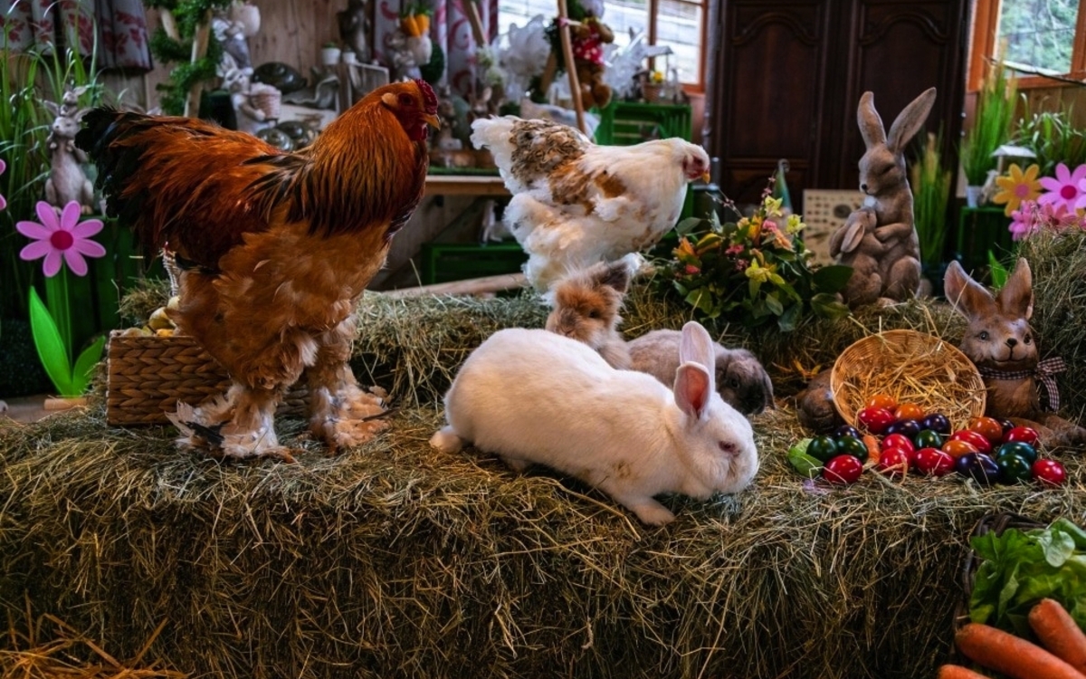 Ostermarkt Gut Aiderbichl 