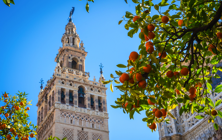 Giralda - Turm in Sevilla - © Aranami - stock.adobe.com