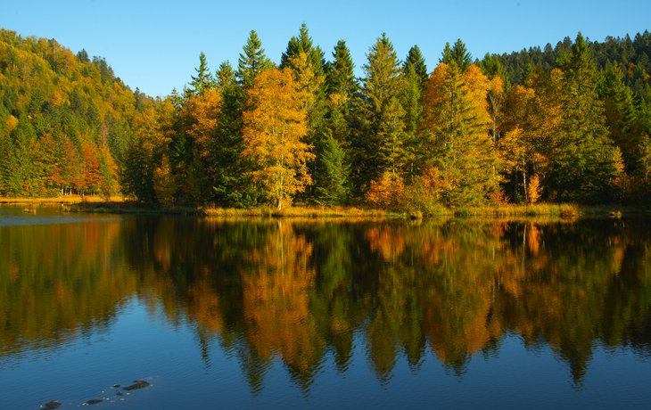 Lispacher See im Herbst - © Christophe LAGOCKI - stock.adobe.com