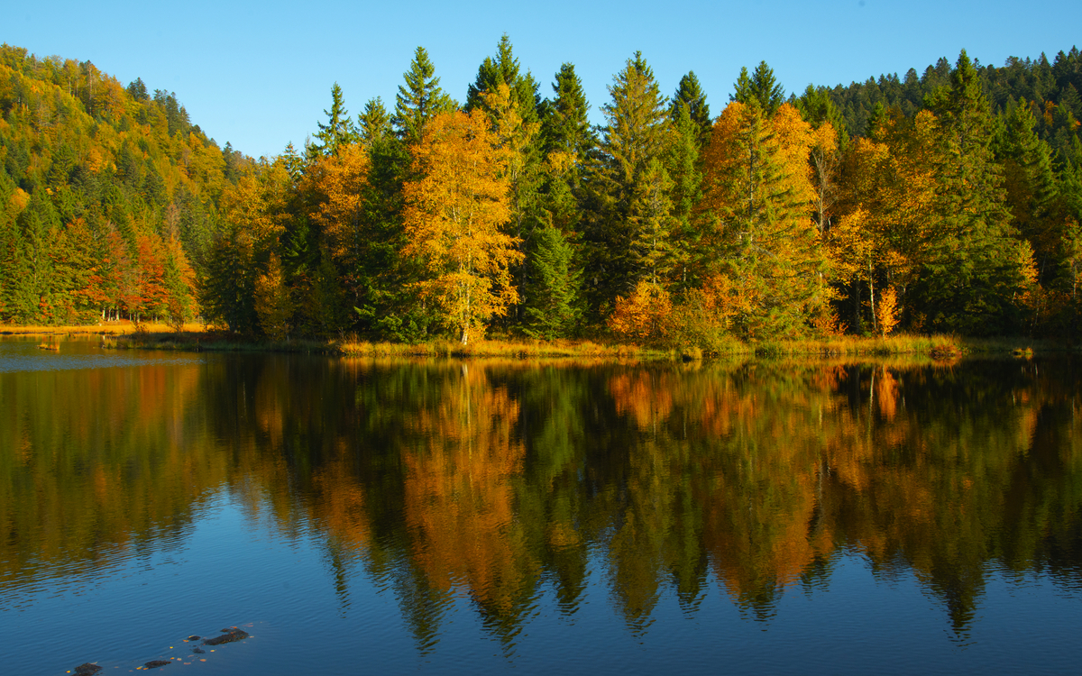 Lispacher See im Herbst - © Christophe LAGOCKI - stock.adobe.com