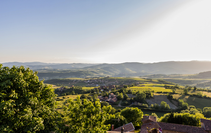 Weinbaugebiet Beaujolais in Frankreich - © MangAllyPop @ER | Photo