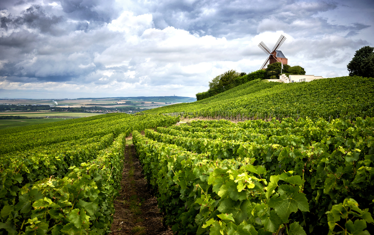 Champagne Region nahe Vernezay, Frankreich