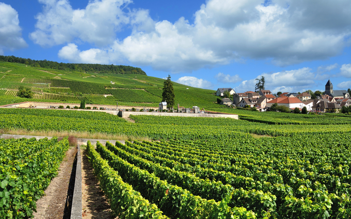 der bekannte Weinort Oger nahe Epernay in der Region Champagne, Frankreich - ©travelpeter - stock.adobe.com