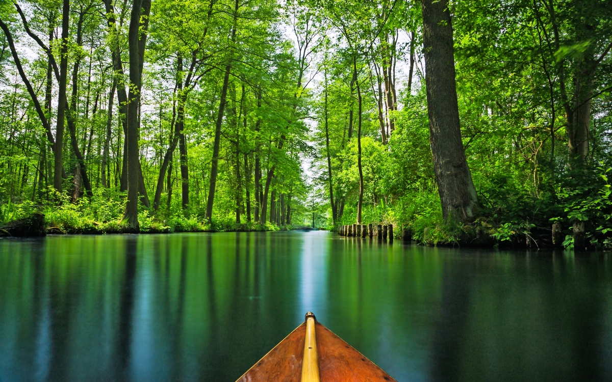 Strömungsleitung durch den Erholungsgebiet Spreewald - Spreewald in der Nähe von Berlin im Sommer. Bootsfahrt durch die Strömungslinien Spreewald - © Daniel Keuck - Fotolia