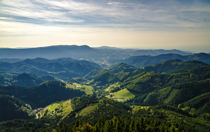 Schwarzwald in Deutschland - ©Birgit Reitz-Hofmann - stock.adobe.com