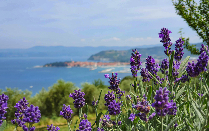 Blick auf Izola in Slowenien an der adriatischen Küste