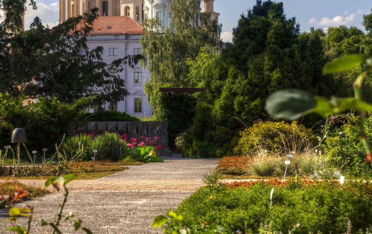 Altes Rathaus in Potsdam  - ©3plusx - stock.adobe.com