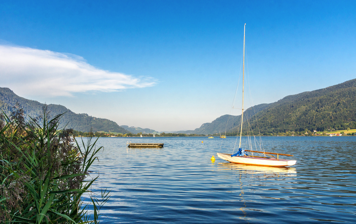 Segelboot am nahen Schilfufer auf dem Ossiacher See - ©zauberblicke - stock.adobe.com