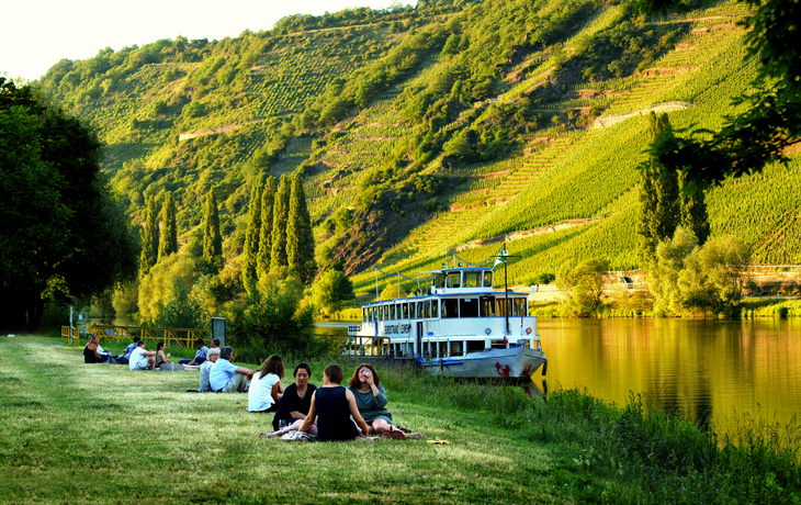 Riesling ist Trumpf beim 