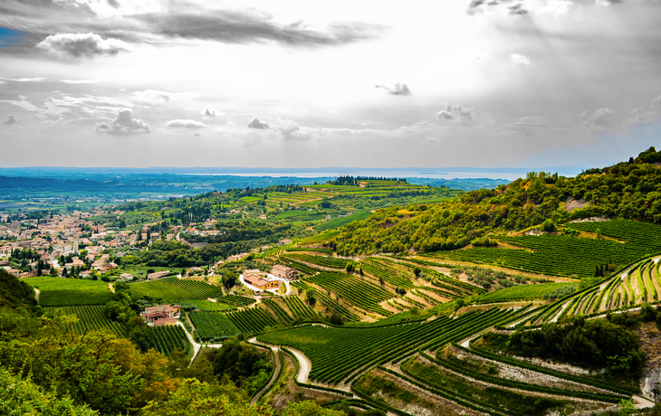 Panoramablick auf Valpolicella von San Giorgioin - © REDMASON - stock.adobe.com