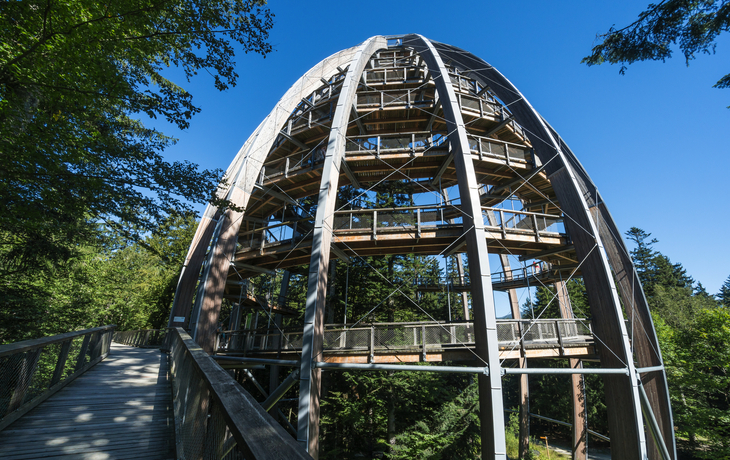 Baumturm im Nationalparkzentrum Lusen im Bayerischen Wald - ©Eberhard - stock.adobe.com