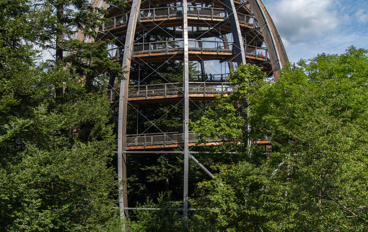 Baumturm im Nationalparkzentrum Lusen im Bayerischen Wald - © precinbe - stock.adobe.com