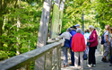 © Erlebnis Akademie AG/Baumwipfelpfad Bayerischer Wald