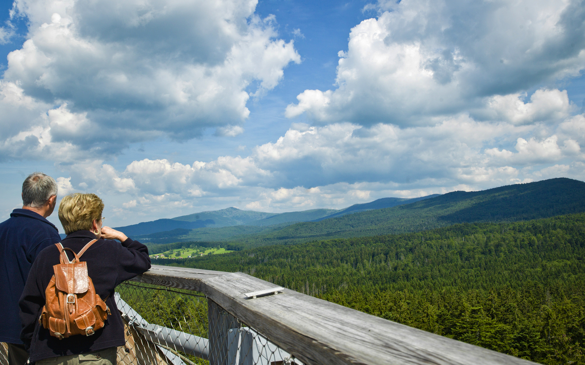 © Erlebnis Akademie AG/Baumwipfelpfad Bayerischer Wald