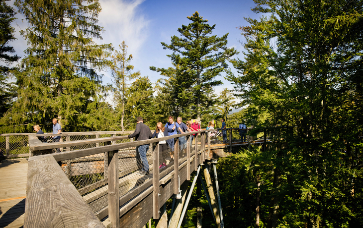 © Erlebnis Akademie AG/Baumwipfelpfad Bayerischer Wald