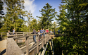 © Erlebnis Akademie AG/Baumwipfelpfad Bayerischer Wald