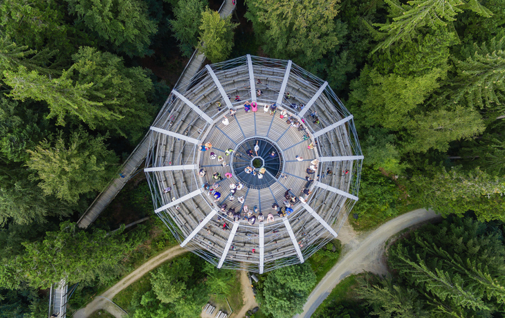 © Erlebnis Akademie AG/Baumwipfelpfad Bayerischer Wald