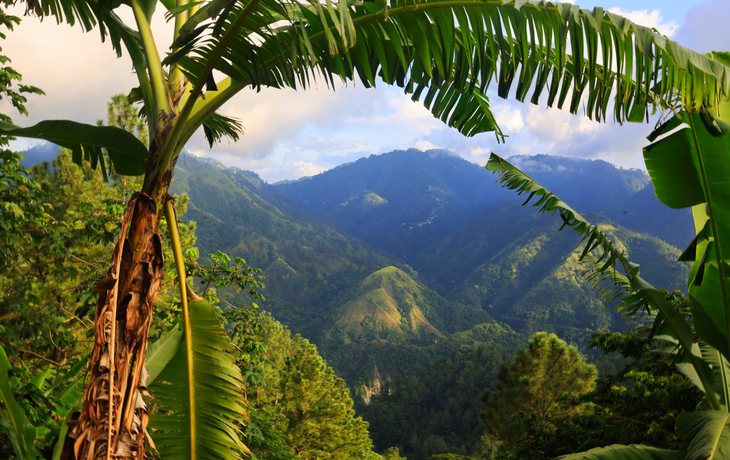 Blue Mountains in Jamaika - © Marc Stephan - stock.adobe.com